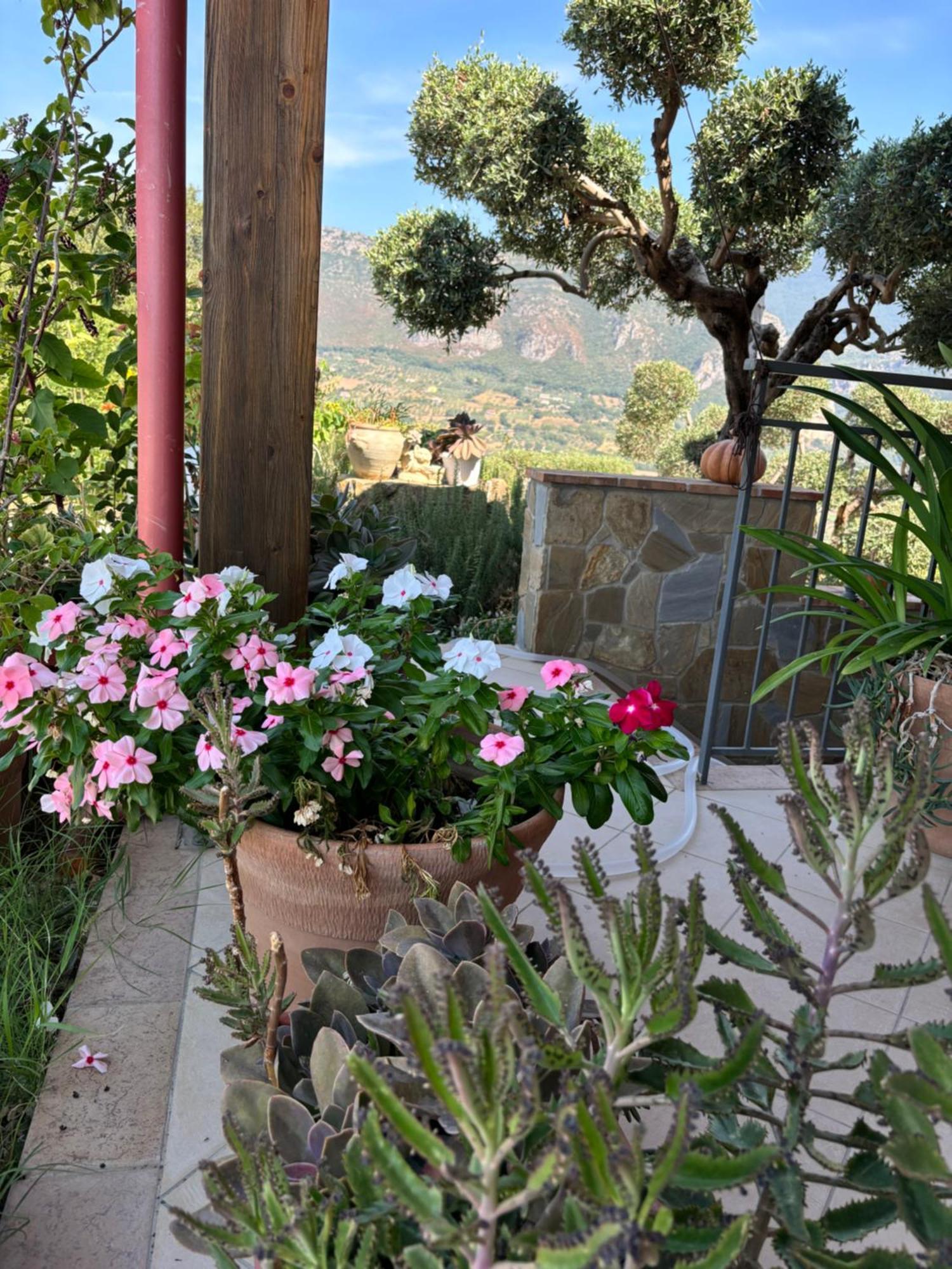 Giungano B&B Casa Martina المظهر الخارجي الصورة