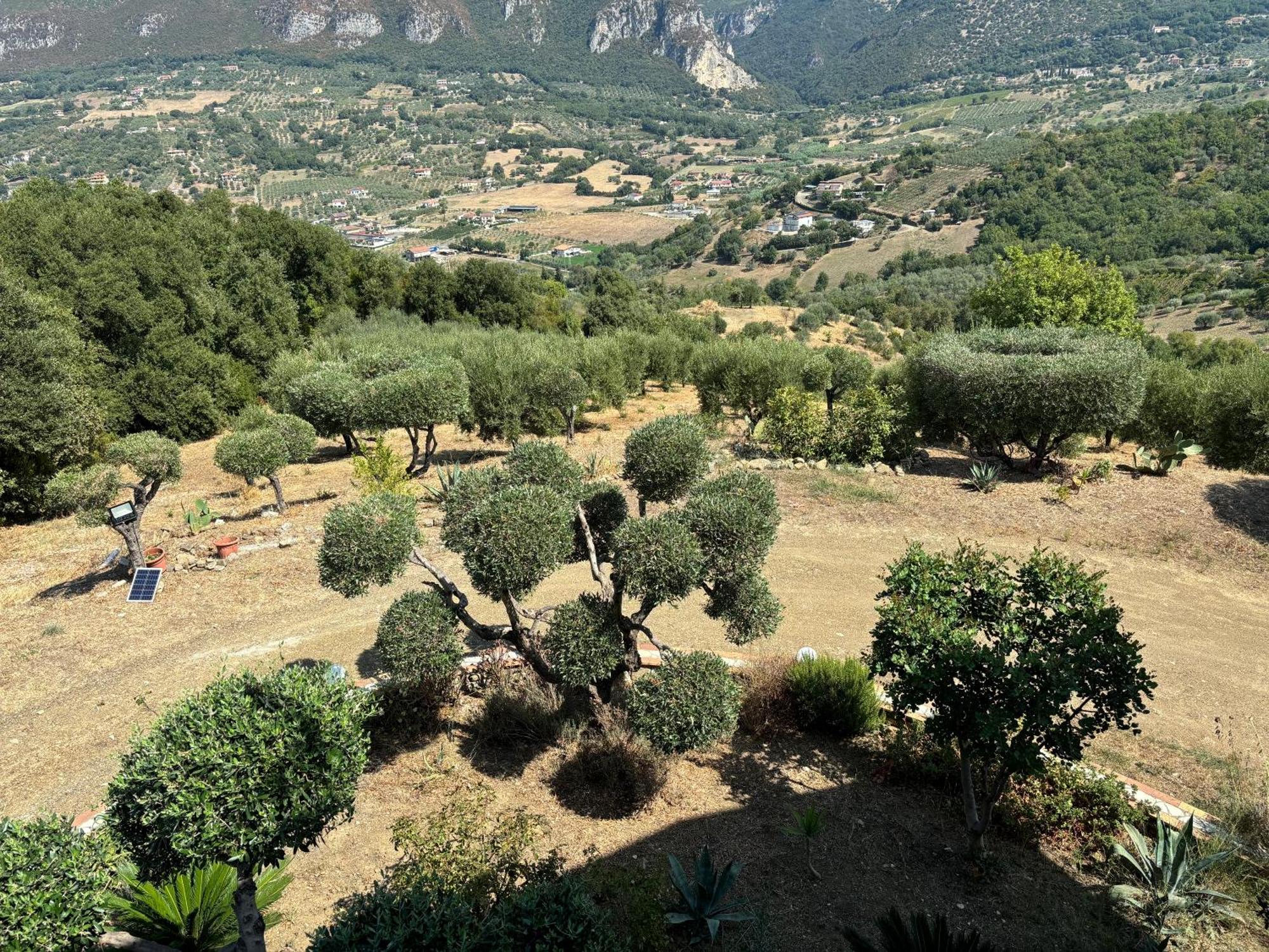 Giungano B&B Casa Martina المظهر الخارجي الصورة